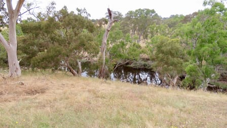 596 Mostyn Lane Balmoral VIC 3407 - Image 2