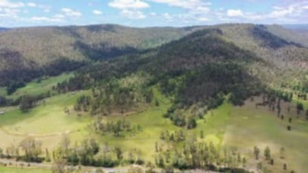 3293 Armidale Road Blaxlands Creek NSW 2460 - Image 1