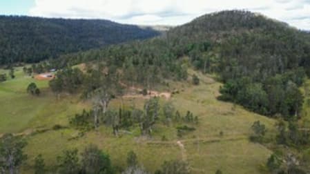 3293 Armidale Road Blaxlands Creek NSW 2460 - Image 2
