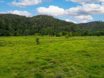 113 Upper Mongongarie Road Mongogarie NSW 2470 - Image 1