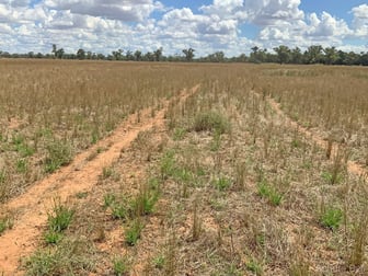 735 Sharahs Rd - "Part Verellen" Road Tomingley NSW 2869 - Image 2