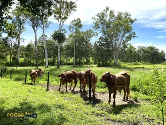 114 East Funnel Creek Road Sarina Range QLD 4737 - Image 2