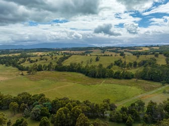 Lot 1/Part 2 Old Beenak Road Yellingbo VIC 3139 - Image 1