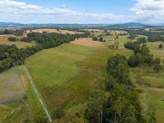 Lot 1/Part 2 Old Beenak Road Yellingbo VIC 3139 - Image 2