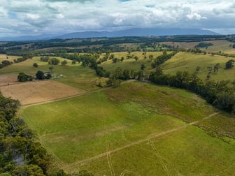 Lot 1/Part 1 Old Beenak Road Yellingbo VIC 3139 - Image 1