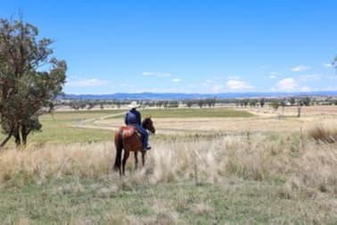 'Fairview' 404 Oxley Lane Tamworth NSW 2340 - Image 1