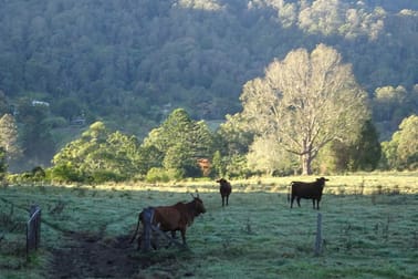 254 Atkins Road Larnook NSW 2480 - Image 1