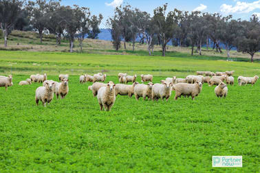 1234 Manilla Road Tamworth NSW 2340 - Image 2