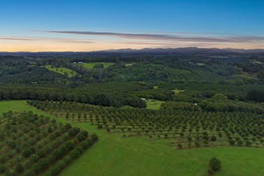 1192 Eltham Road Alstonvale NSW 2477 - Image 3