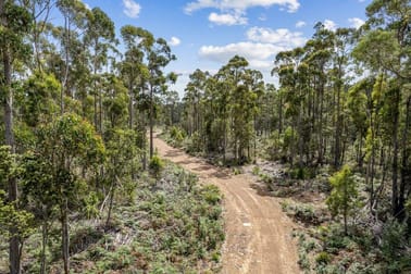 481 Priestleys Lane Birralee TAS 7303 - Image 1