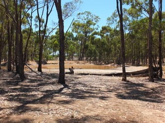 2760 Avoca-Bealiba Road Archdale VIC 3475 - Image 3