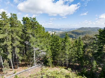 771 Greywacke Road Twenty Forests NSW 2795 - Image 3