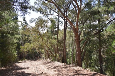 771 Greywacke Road Twenty Forests NSW 2795 - Image 2
