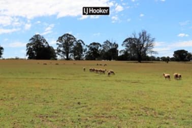 355 Copeton Dam Road Inverell NSW 2360 - Image 3