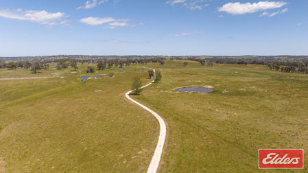 1262 Baldersleigh Road Guyra NSW 2365 - Image 3