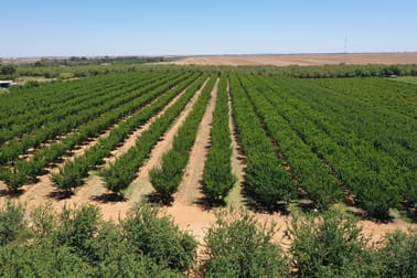 Lot 54 Newton Road Loxton SA 5333 - Image 1