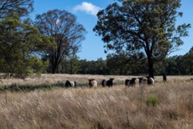 5500 Ulan Road Mudgee NSW 2850 - Image 1