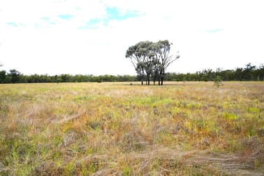 3689 Orallo Road Roma QLD 4455 - Image 2