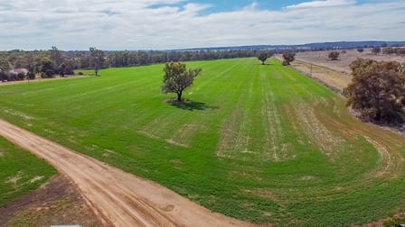 1638 & 2012 Piambra Road Neilrex NSW 2831 - Image 2