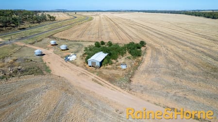 1638 & 2012 Piambra Road Neilrex NSW 2831 - Image 3