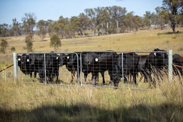 Rowena Road Balala NSW 2358 - Image 2