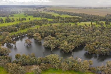 99 Mollys Lagoon Road Narrandera NSW 2700 - Image 3