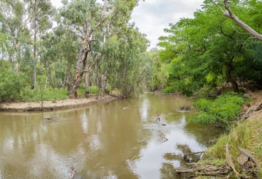 99 Mollys Lagoon Road Narrandera NSW 2700 - Image 2