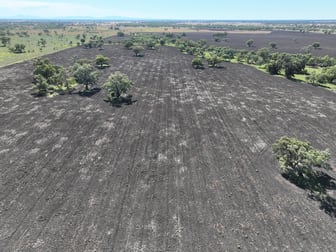 356 Pilliga Road Wee Waa NSW 2388 - Image 3