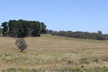 Click to view all images Lot 101 Hill End Road Hill End NSW 2850 - Image 2