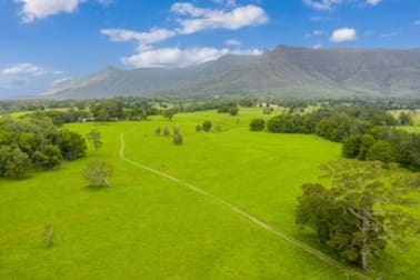 52 Kerrs Lane Pumpenbil NSW 2484 - Image 1