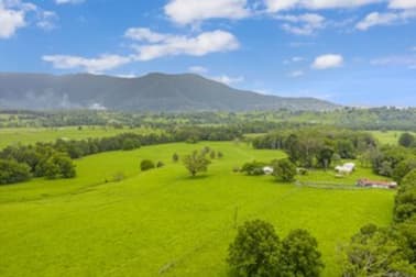 52 Kerrs Lane Pumpenbil NSW 2484 - Image 2