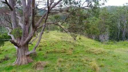 80 Mount Street Dundurrabin NSW 2453 - Image 1