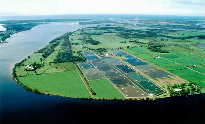 371 School Road Palmers Island NSW 2463 - Image 3