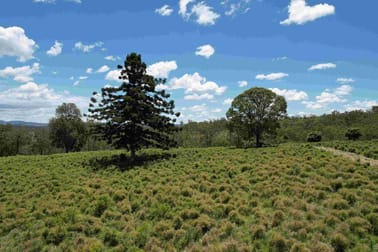 0 Woodrows Road East Cooyar QLD 4353 - Image 3