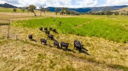 1462 Murray River Rd Talgarno VIC 3691 - Image 2