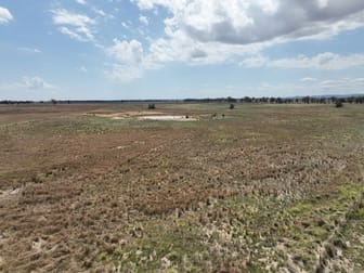 'Tergene South' 849 Tomingley West Road Tomingley NSW 2869 - Image 3
