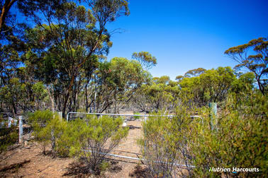 90 Cattlin Road Ravensthorpe WA 6346 - Image 3