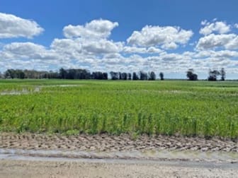 Click to view all images 301 Roseholm Rd Peak Hill NSW 2869 - Image 1