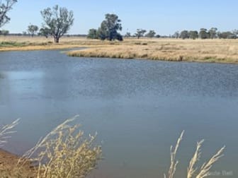 Click to view all images 301 Roseholm Rd Peak Hill NSW 2869 - Image 2