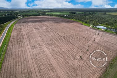 322 Fassio Road Mareeba QLD 4880 - Image 3