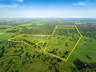 75 Busby's Flat Road Leeville NSW 2470 - Image 2