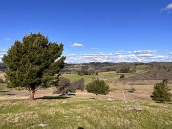 88 Old Wheeo Road Taylors Flat NSW 2586 - Image 3