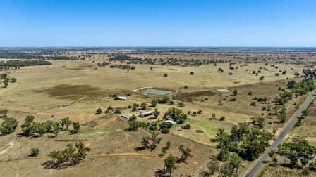 12040 Pilliga Road Coonamble NSW 2829 - Image 1