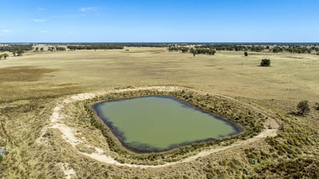 12040 Pilliga Road Coonamble NSW 2829 - Image 2