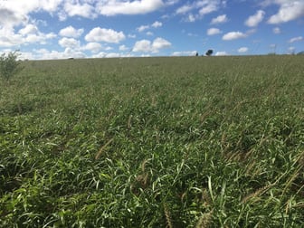 200 Mill Road Monogorilby QLD 4626 - Image 2