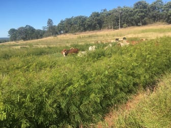 200 Mill Road Monogorilby QLD 4626 - Image 3