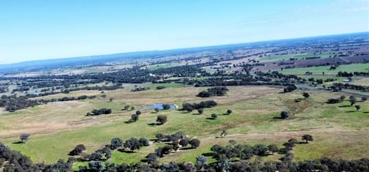 Lot 1 Gayfer Road Springhurst VIC 3682 - Image 2