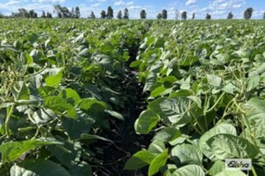 Click to view all images Lot 3 Greyfriars Road Forest Hill QLD 4342 - Image 2