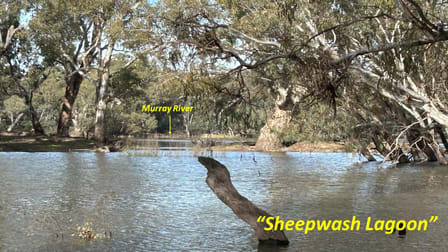 Sheepwash Lagoon - Echuca Moama on the Murray Road Moama NSW 2731 - Image 2