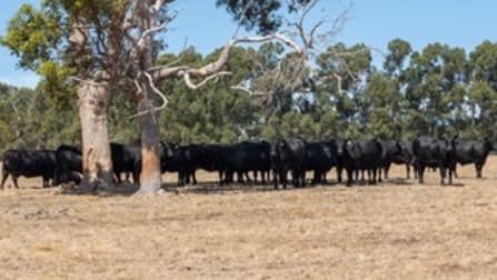 Lot 3001 Hopkins Road Chapman Hill WA 6280 - Image 2